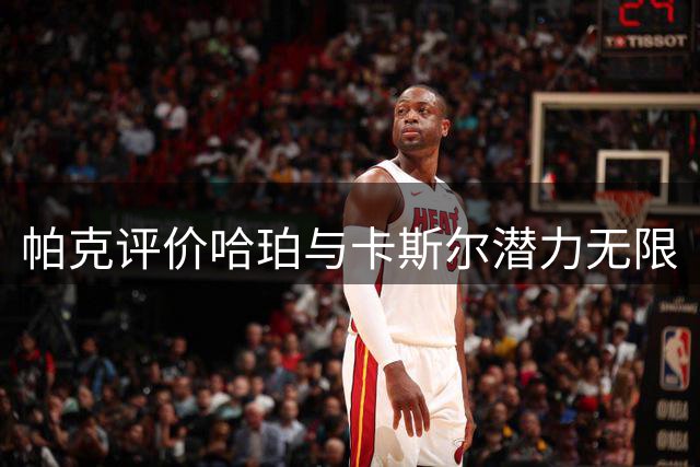 帕克评价哈珀与卡斯尔潜力无限