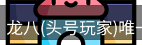 头号玩家娱乐平台